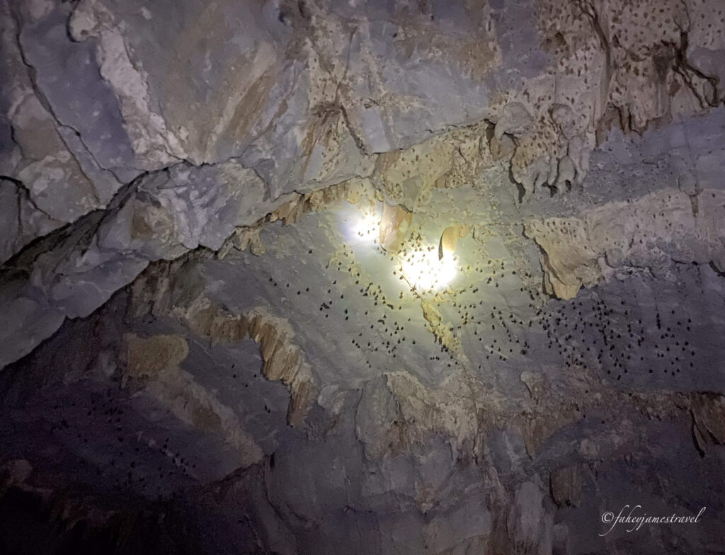 A torch shines on the roof of Phakounham Cave and Viewpoint, where many bats are sleeping