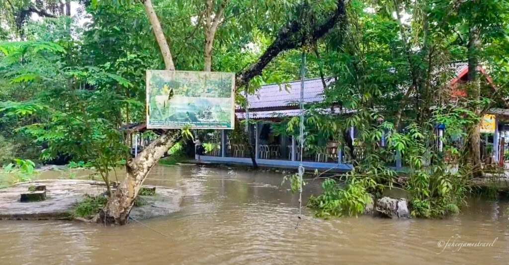 Blue Lagoon 1 shows murky water when it rains the day before. There is a rope hanging from the tree over the river for people to jump into, and there is a sign on the tree