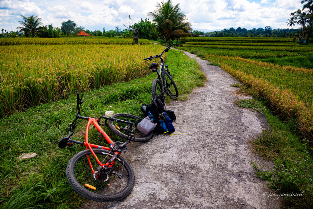 two nikes stand on a trail in the rice terraces in bali