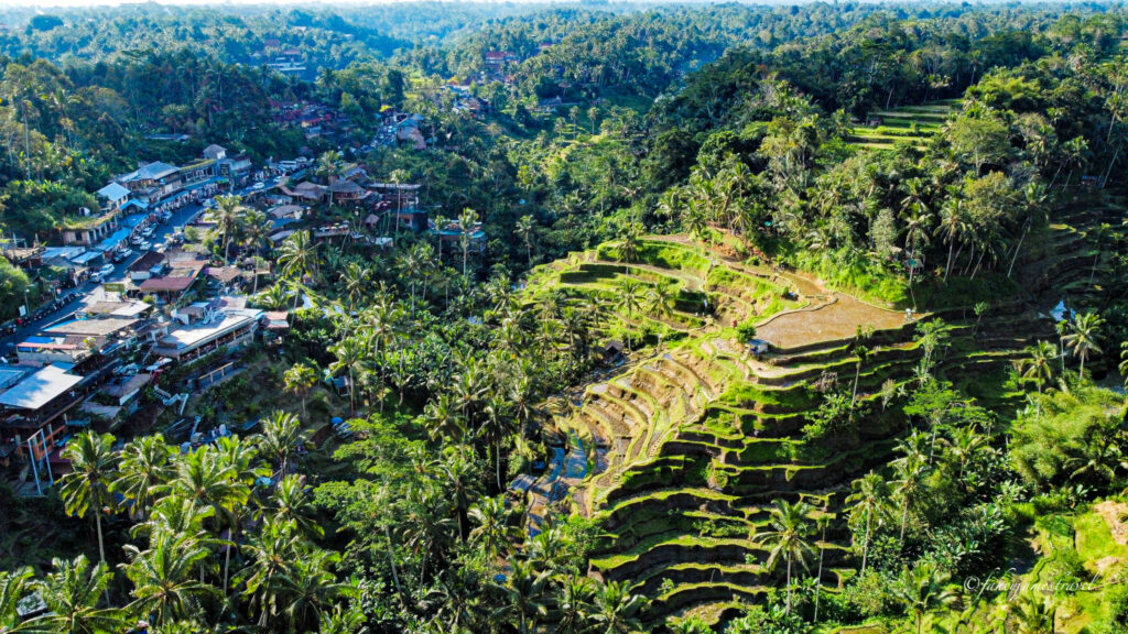 an aerial shot of tegalalang rice terrace in bali close to ubud