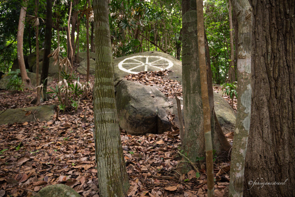 you can see the dharma wheel through two trees and some leaves sit on the ground creating an autumnal effect