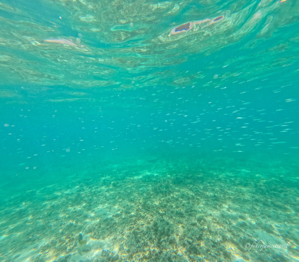 the watwer is very clear with some fish swimming in the sea close to the national park