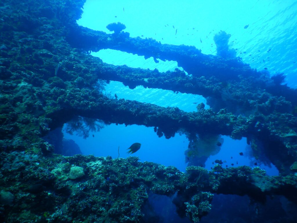 USAT Liberty shipwreck in amed bali. the wt=ater is dark but you can see the handrail covered in growth 