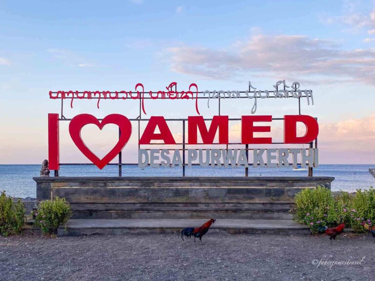 a red signpost that says I heart amed. there are two red chickens in the bottom of the image