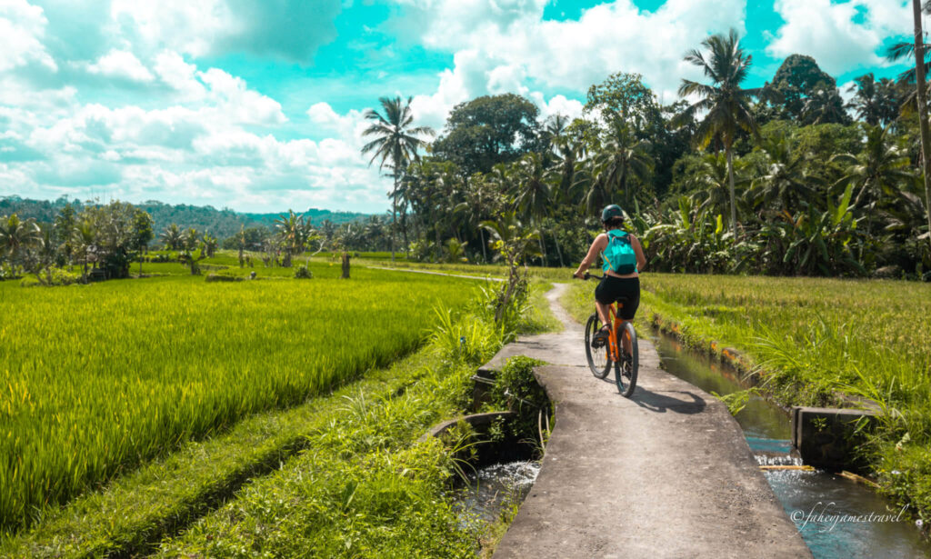 guada rises. abike through the rice fields near ubud 