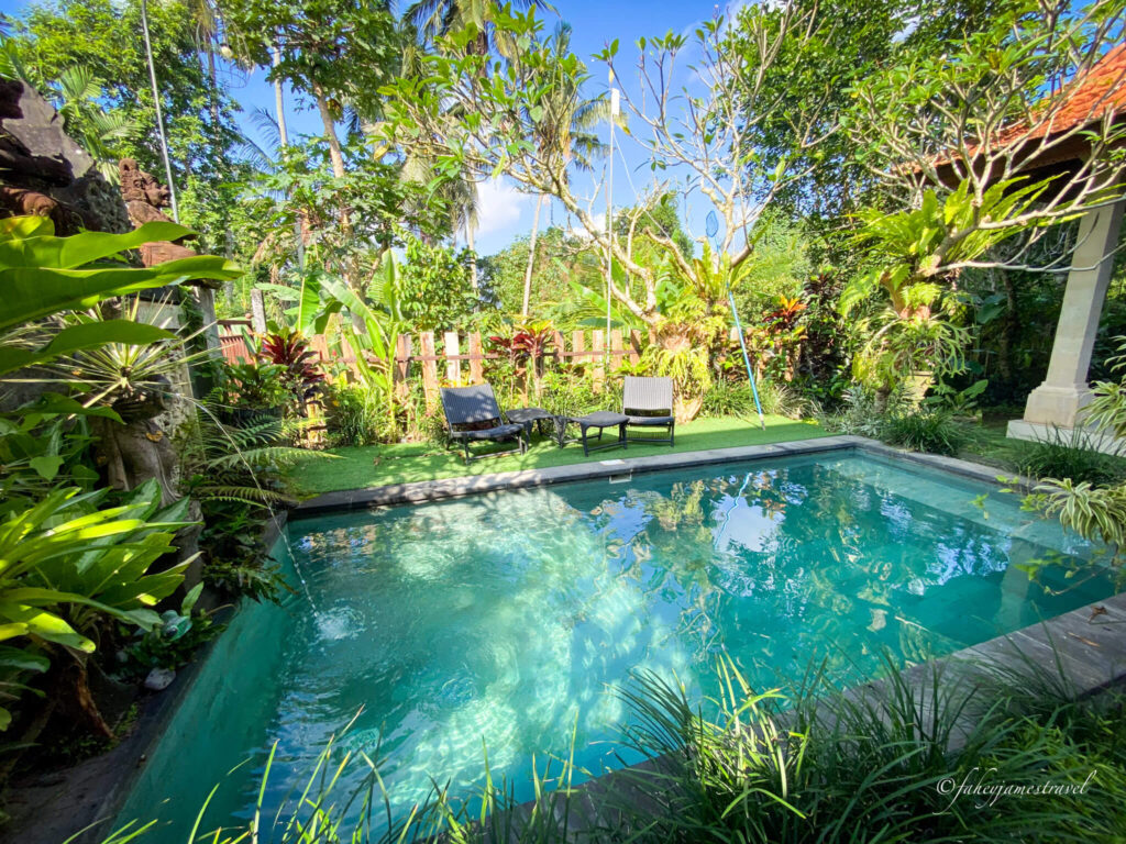 the pool at uma lloris ubud. the water and pool is green with lush trees growing high in the background