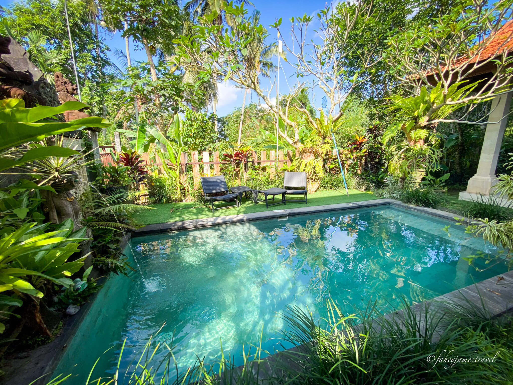 the pool at uma lloris ubud. the water and pool is green with lush trees growing high in the background