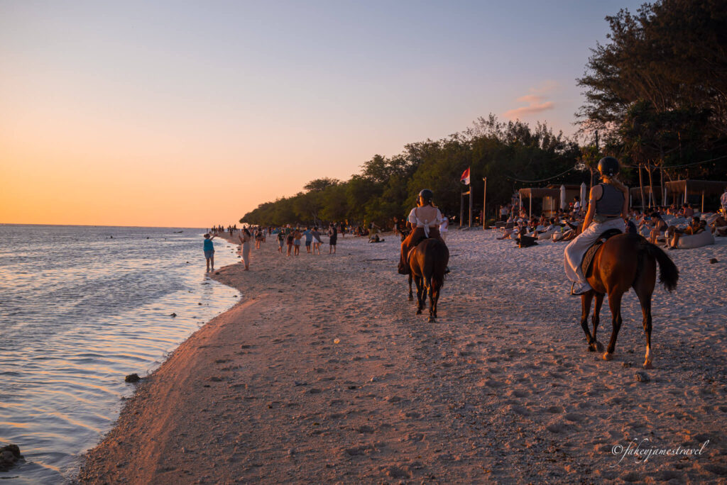 horses walk along the shore on gili t. two horses are in the right of the image 