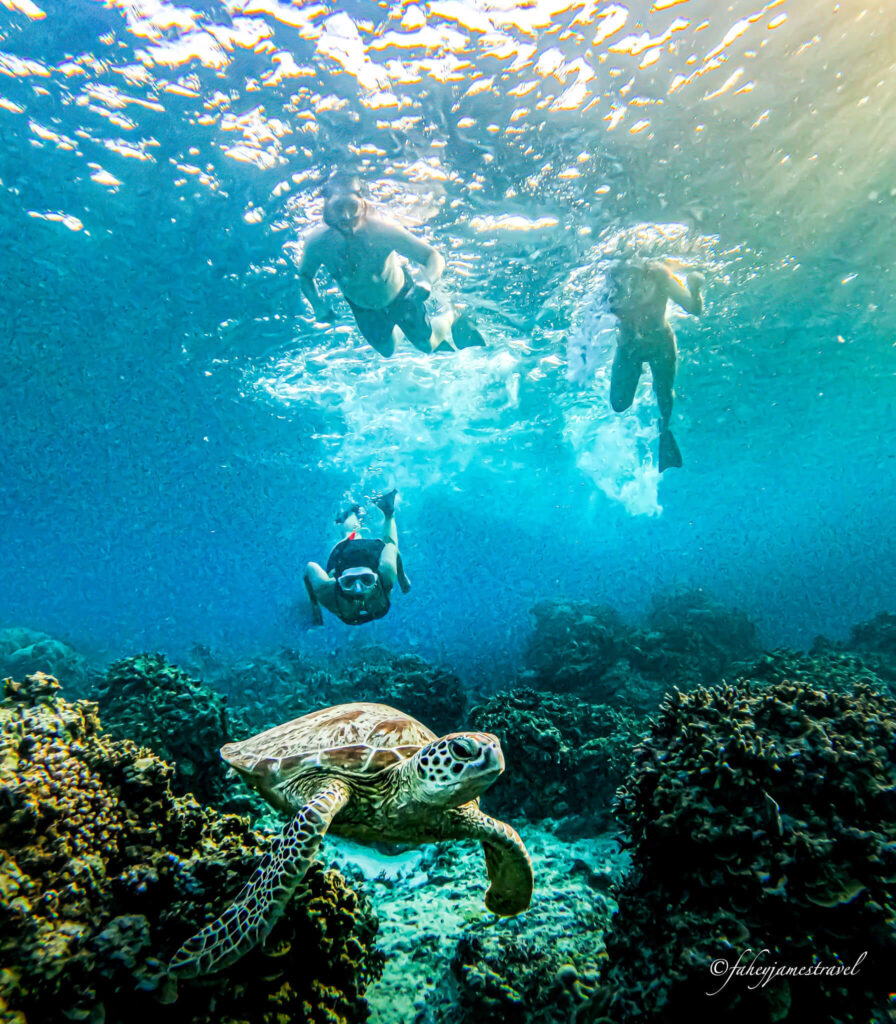 james and guada and two other swim underwater after a large turtle. the colour is blue
