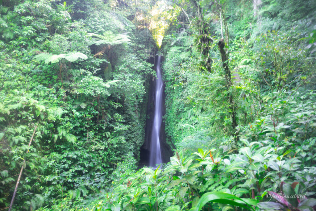 getting closer to the waterfall you can see the top of it over the trees