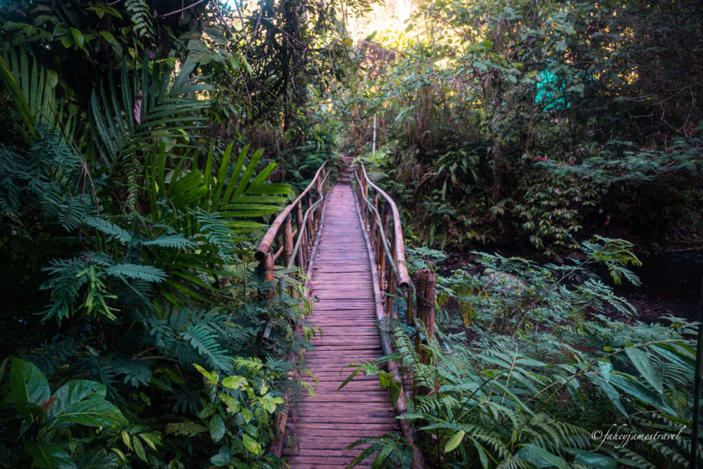 the bamboo bridge is shown on the way to leke leke waterfall