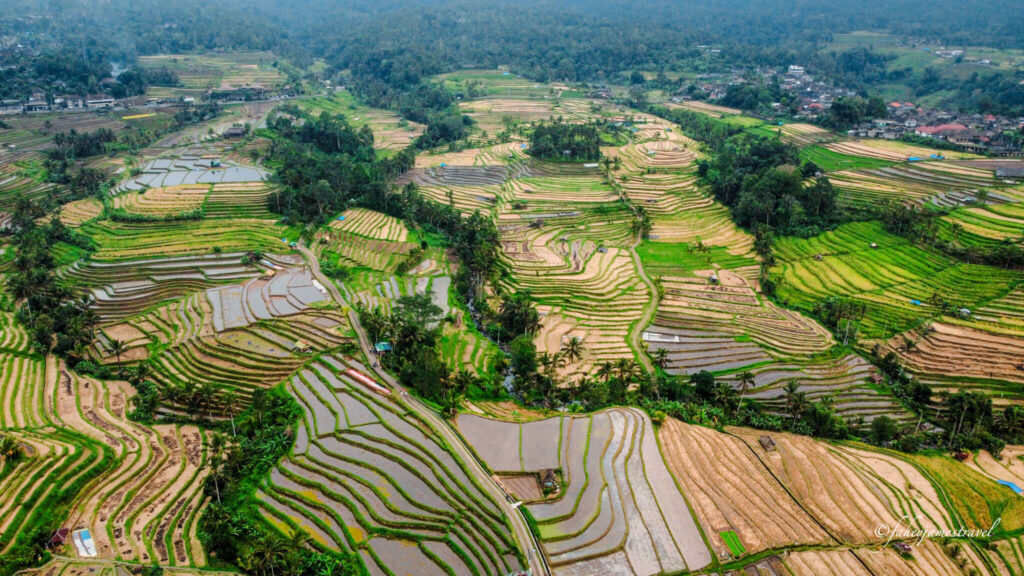 Jatiluwih Rice Terraces are a unesco site close to leke leke waterfall