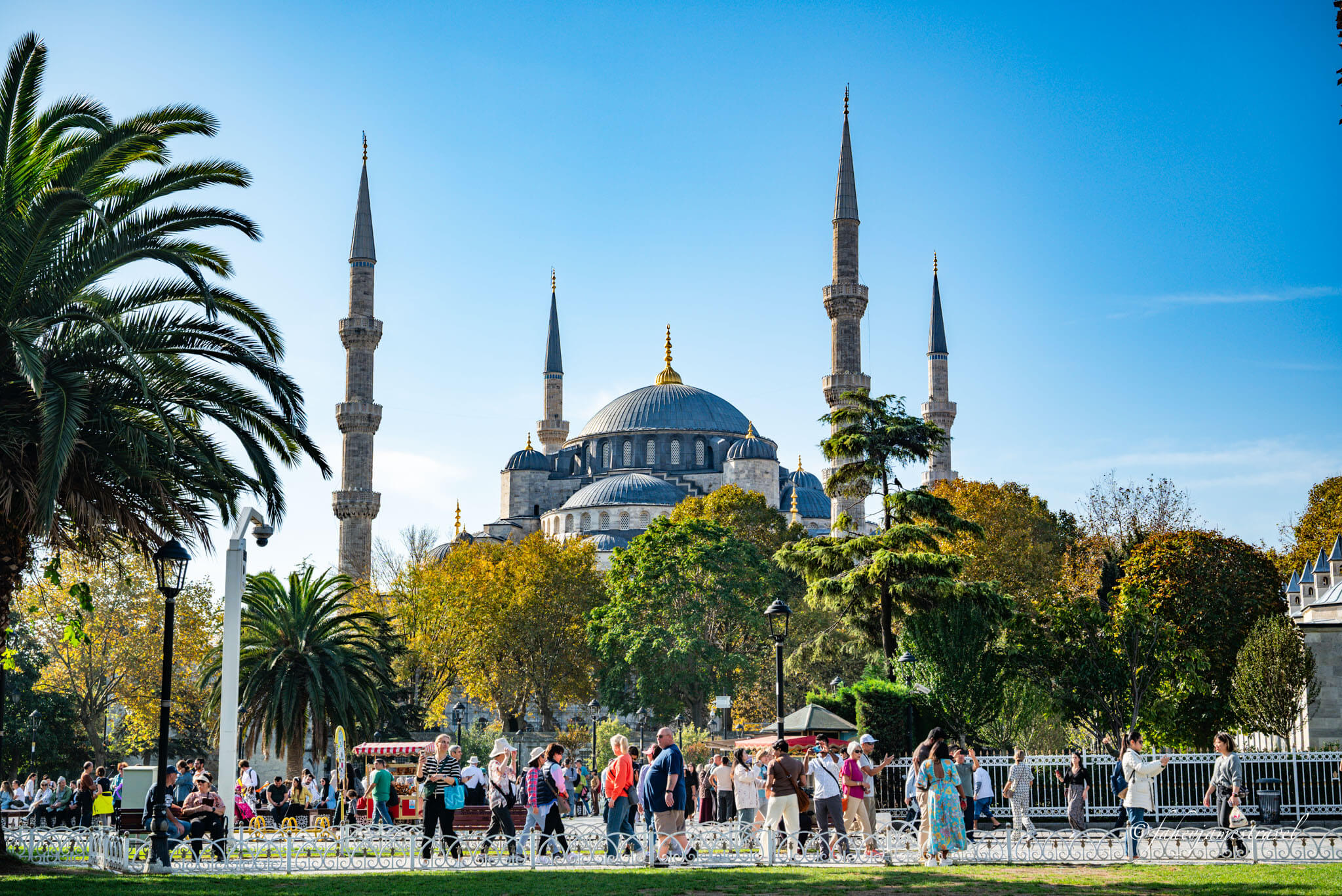 the blue mosque in istanbul is pictured from the outside