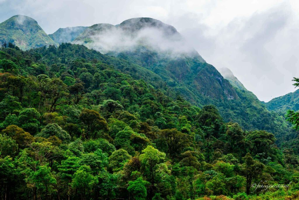 the lush landscape is pictured close by love waterfall sapa