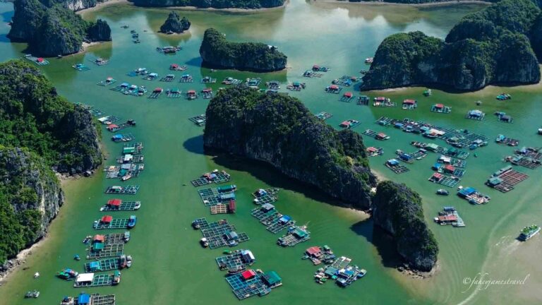 cat ba island cai beo floating village is pictured