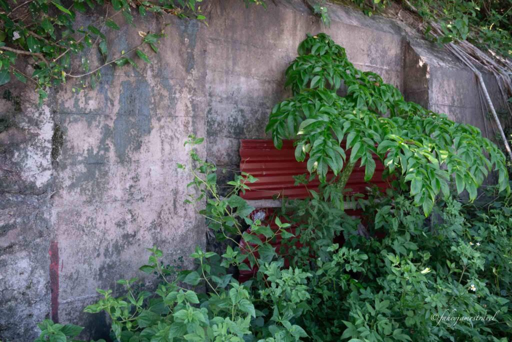 covered tunnel on cat ba island is pictured on the road