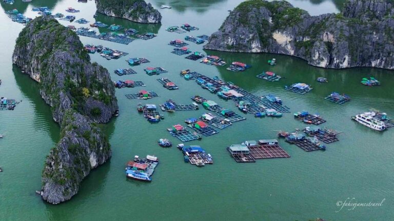 CAI BEO fishing VILLAGE IN CAT BA IS PICTURED WITH GREEN WATER AND FISHING TRAWLERS