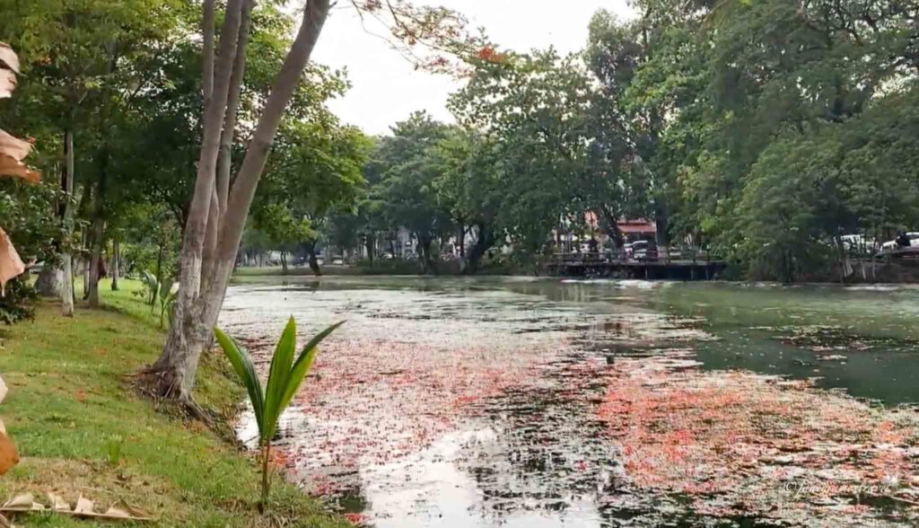 riverbank is pictured and a nice place to walk in 3 days in siem reap