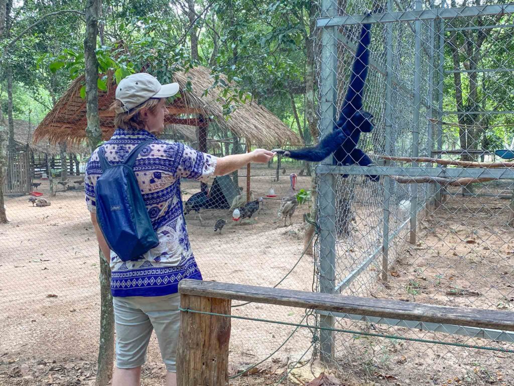 james holds hands with a black gibbon monkey in the botanical garden in siem reap