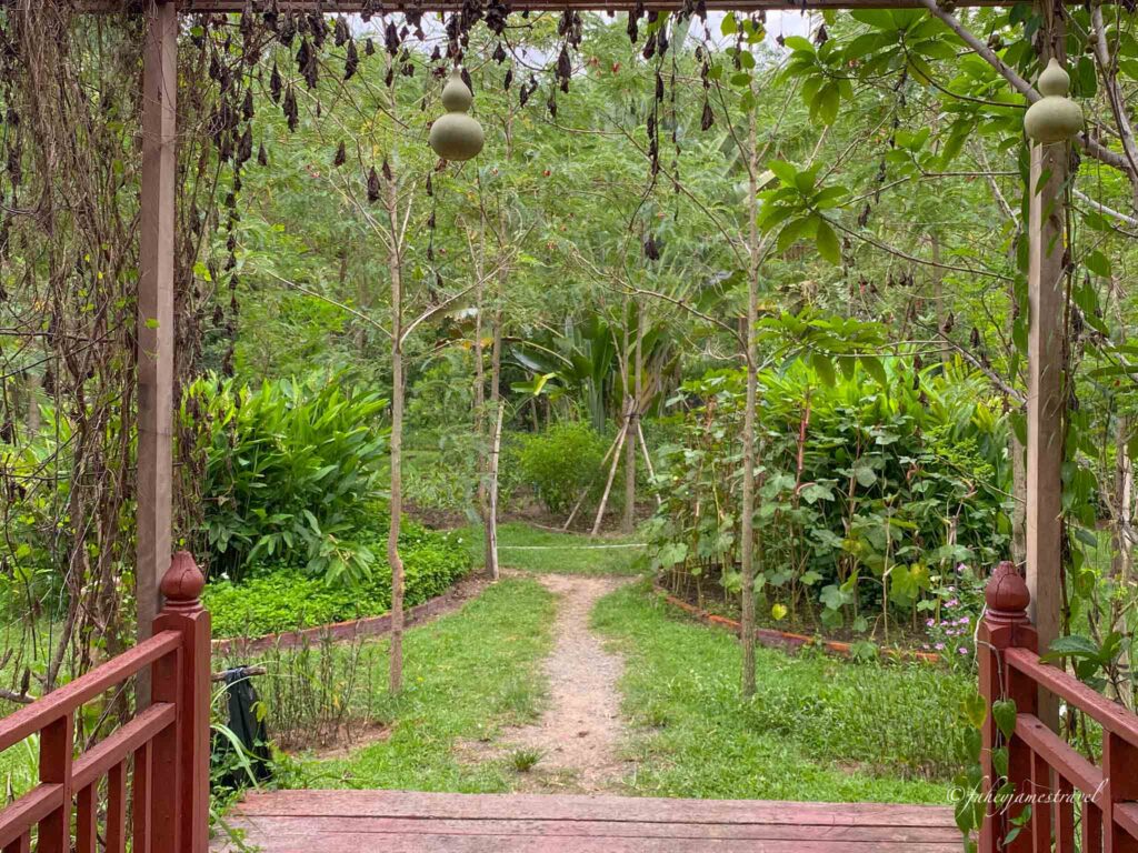 stone step path is pictured at angkor botanical garden